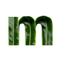 Green leaf typography text design lowercase alphabet m, photo
