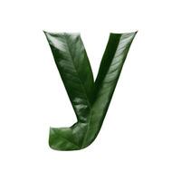 Green leaf typography text design lowercase alphabet y, AI Generative photo