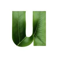 Green leaf typography text design lowercase alphabet u, AI Generative photo