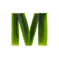 Green leaf typography text design uppercase alphabet , photo