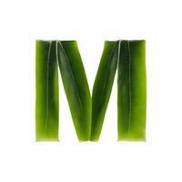 Green leaf typography text design uppercase alphabet , AI Generative photo