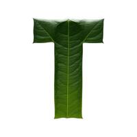 Green leaf typography text design uppercase alphabet T, photo