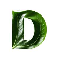 Green leaf typography text design uppercase alphabet D, AI Generative photo