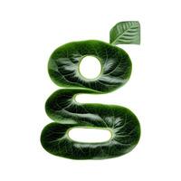 Green leaf typography text design lowercase alphabet g, photo