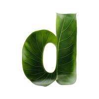 Green leaf typography text design lowercase alphabet d, photo