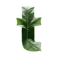 Green leaf typography text design lowercase alphabet t, AI Generative photo