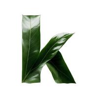 Green leaf typography text design lowercase alphabet k, photo
