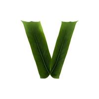Green leaf typography text design uppercase alphabet V, photo
