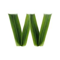 Green leaf typography text design lowercase alphabet w, AI Generative photo