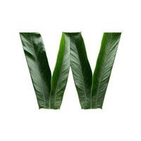 Green leaf typography text design lowercase alphabet w, AI Generative photo