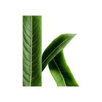 Green leaf typography text design lowercase alphabet k, AI Generative photo