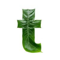 Green leaf typography text design lowercase alphabet t, photo