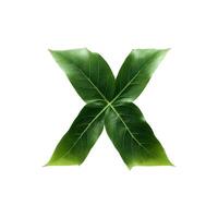 Green leaf typography text design lowercase alphabet x, photo