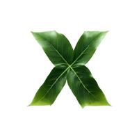 Green leaf typography text design lowercase alphabet x, AI Generative photo