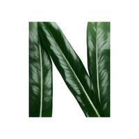 Green leaf typography text design uppercase alphabet N, AI Generative photo