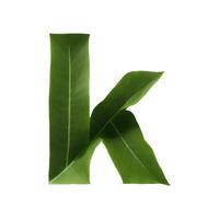 Green leaf typography text design lowercase alphabet k, photo