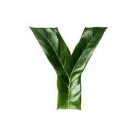 Green leaf typography text design uppercase alphabet Y, AI Generative photo