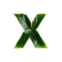 Green leaf typography text design uppercase alphabet X, photo
