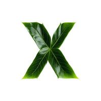 Green leaf typography text design uppercase alphabet X, AI Generative photo