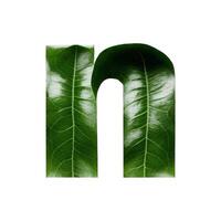 Green leaf typography text design lowercase alphabet n, AI Generative photo