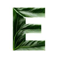 Green leaf typography text design uppercase alphabet E, AI Generative photo