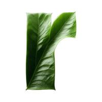 Green leaf typography text design lowercase alphabet r, photo