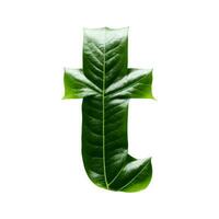 Green leaf typography text design lowercase alphabet t, AI Generative photo