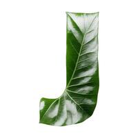 Green leaf typography text design uppercase alphabet J, photo