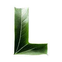 Green leaf typography text design uppercase alphabet L, photo