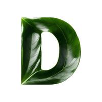 Green leaf typography text design uppercase alphabet D, AI Generative photo