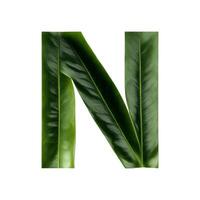 Green leaf typography text design uppercase alphabet N, photo