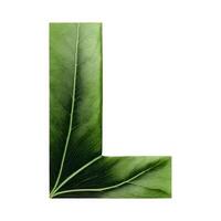 Green leaf typography text design uppercase alphabet L, photo