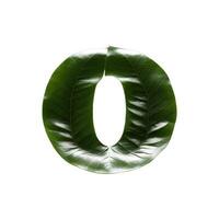 Green leaf typography text design lowercase alphabet o, photo
