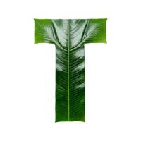 Green leaf typography text design uppercase alphabet T, photo