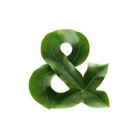 Green leaf typography text design and sign, photo