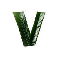 Green leaf typography text design uppercase alphabet V, AI Generative photo