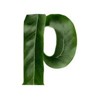 Green leaf typography text design lowercase alphabet p, photo
