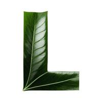 Green leaf typography text design uppercase alphabet L, photo