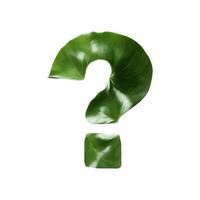 Green leaf typography text design question mark, photo