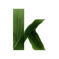 Green leaf typography text design lowercase alphabet k, photo