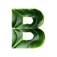 Green leaf typography text design uppercase alphabet B, AI Generative photo