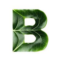 Green leaf typography text design uppercase alphabet B, photo