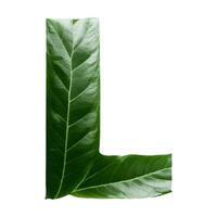 Green leaf typography text design uppercase alphabet L, AI Generative photo