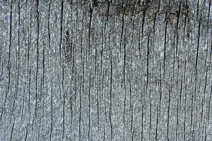 el superficie de antiguo podrido tableros grietas en el madera. antiguo madera contrachapada. huellas de pintar. foto