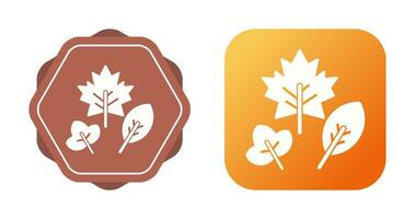 Autumn Leaf Vector Icon