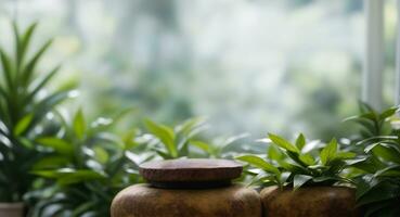 botánico jardín naturaleza planta verde hoja y Roca rock plato modelo fondo, ai generativo foto