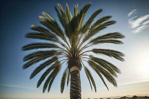 palma árbol en el playa. verano vacaciones concepto. ai generativo foto