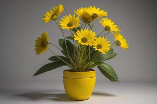 Flowers in a pot on a solid color background. ai generative photo
