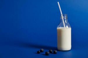 Bottle with milk and blueberries on blue background with space for text photo