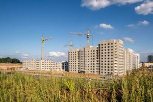 tower cranes working on construction photo